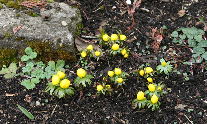 München > Botanischer Garten 2