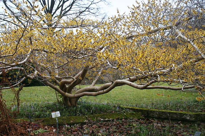 München > Botanischer Garten 5