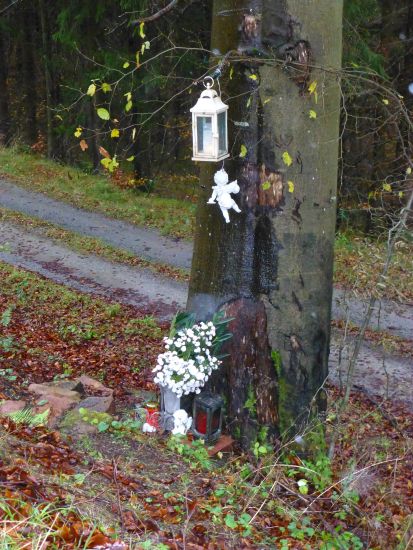 Gedenkbaum im Odenwald