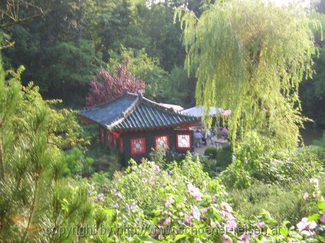 Münzesheim > Asiatischer GArten 8