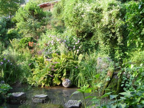 Münzesheim > Asiatischer Garten 8