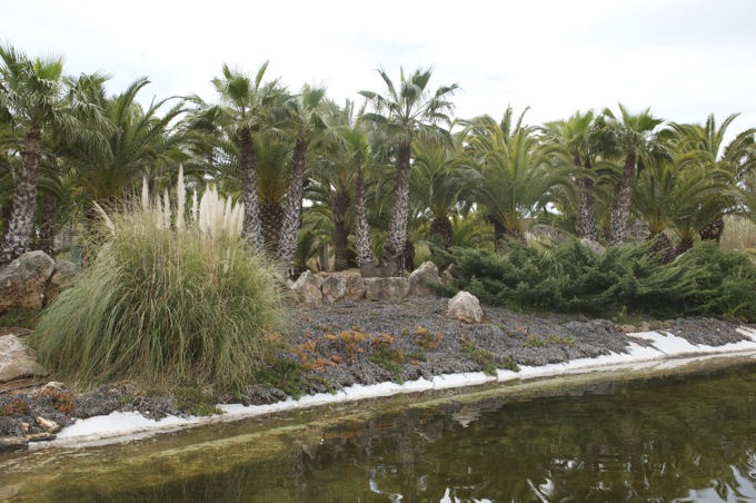 BOTANICACTUS > Botanischer Garten Mallorca 3