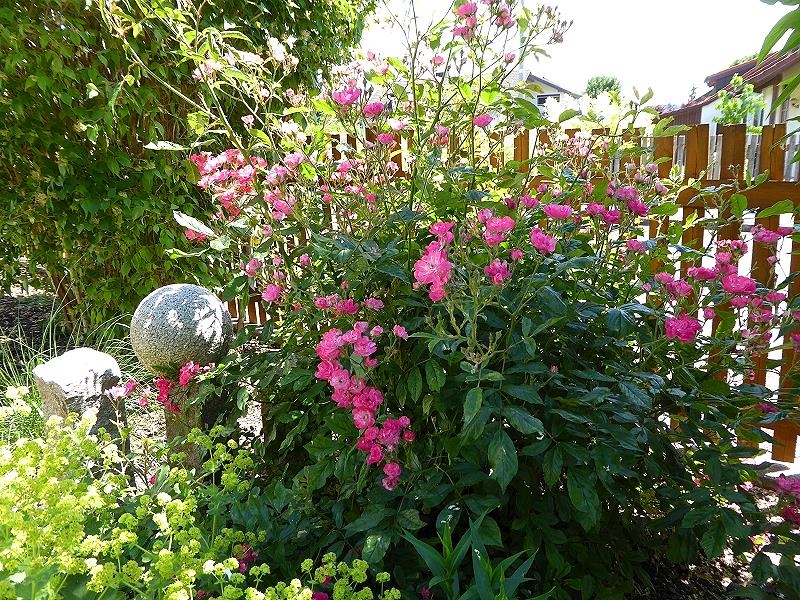 Im Garten