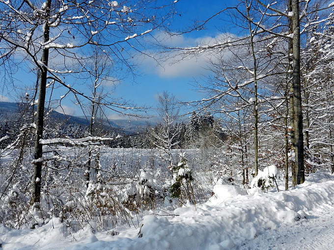 Nationalparkzentrum Falkenstein 6