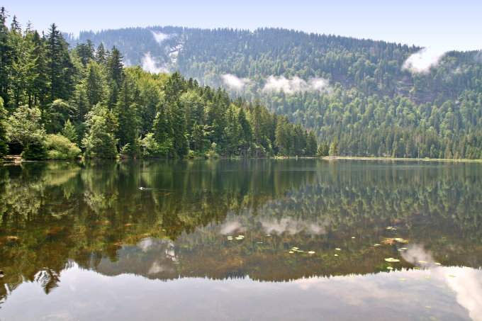 Großer Arbersee