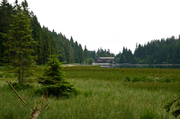 Großer Arbersee