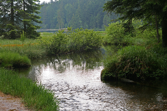 Großer Arbersee 2