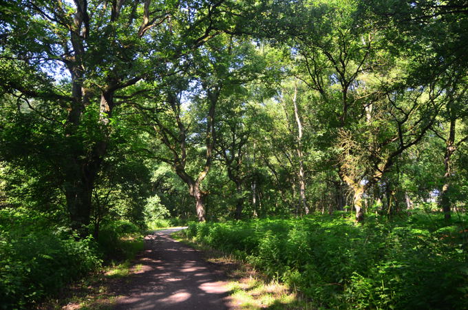 Emscherparkradweg 01 2