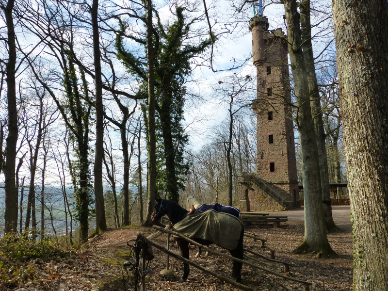 D:Bayern>Klingenberg>Aussichtsturm>Wanderheim>Gäste