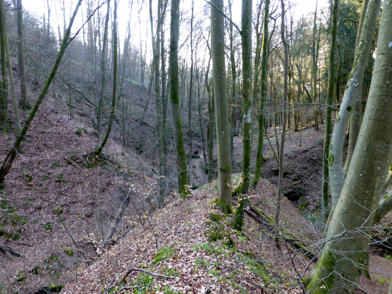 D:Bayern>Klingenberg>Seltenbachschlucht29