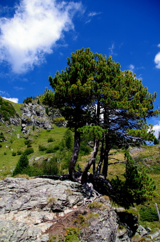 Wandern am Faalkert See in den Nockbergen 8