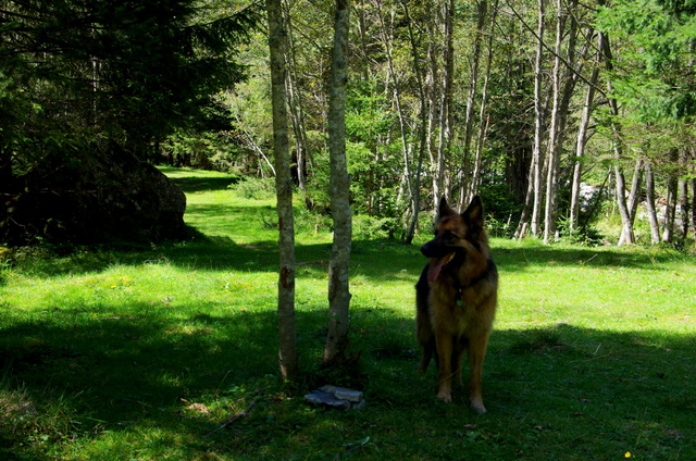 Wanderung im Seebachtal / Mallnitz 8