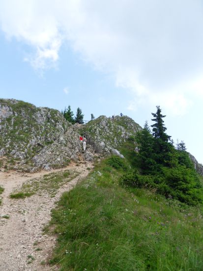 RO:Brasov>Poiana018