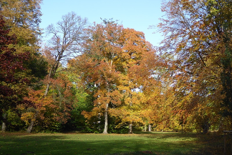 8_schlosspark_pansevitz_37.jpg