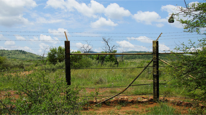 Pilanesberg-05