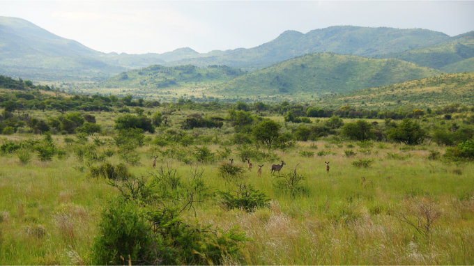 Pilanesberg-09