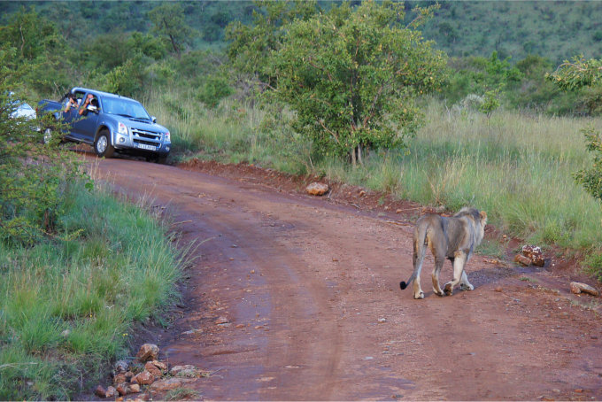 Pilanesberg-02