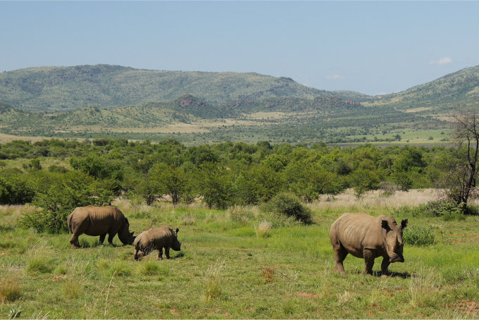 Pilanesberg-18