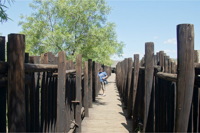 Pilanesberg-37