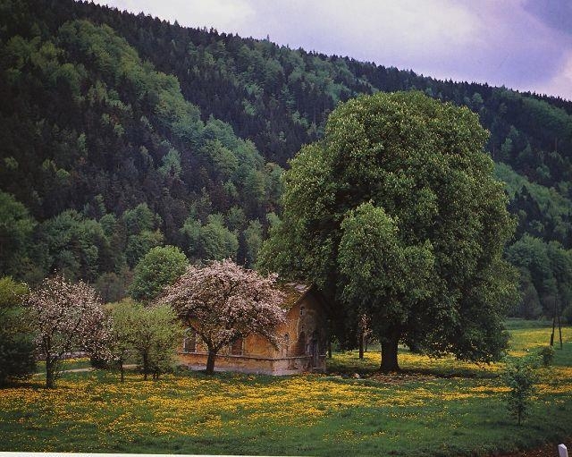 k-Mai 86, die Technik mit der Natur verschmolzen