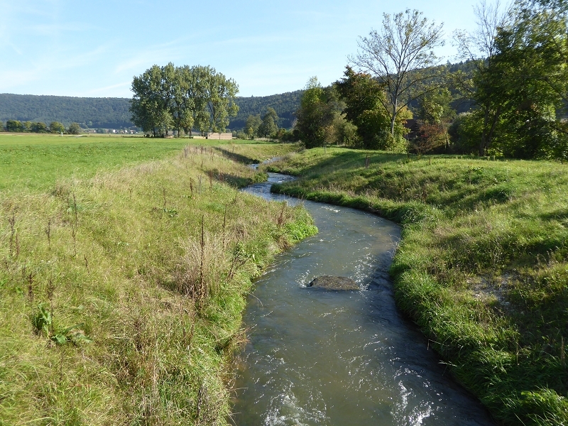 an der Altmühl, Sept. 2014