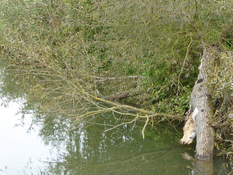 an der Altmühl, Teil 3