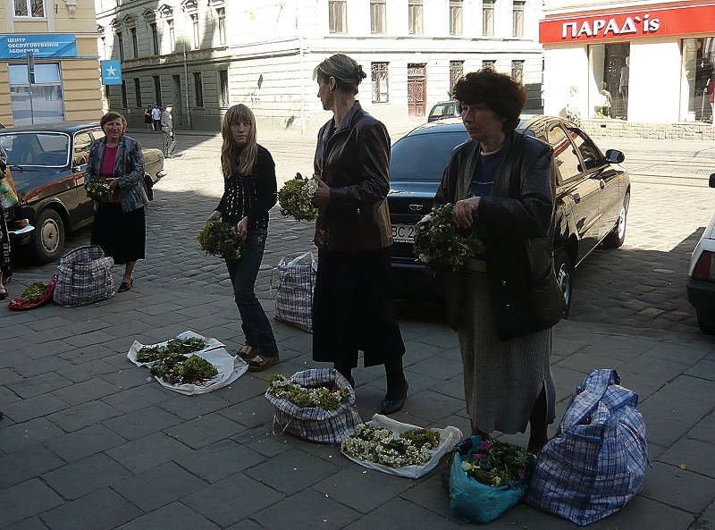 Lemberg > Blumenverkauf vor den Kirchen