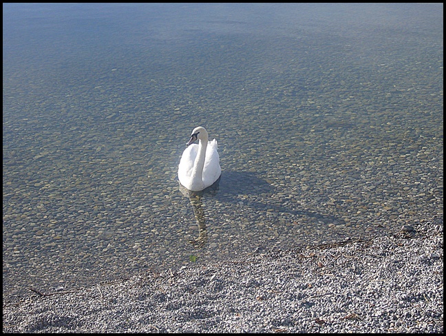 Ausflug zum Ammersee 8