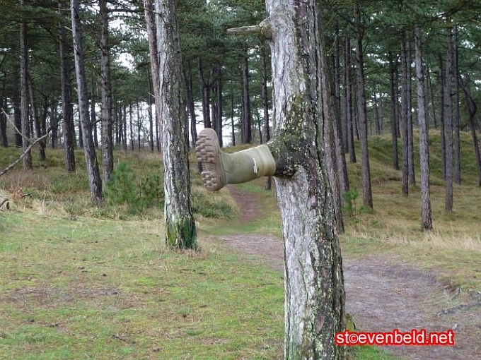 Texel - Gummistiefel am Baum Umgebung De Muy