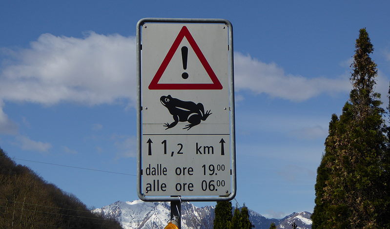 Kröten