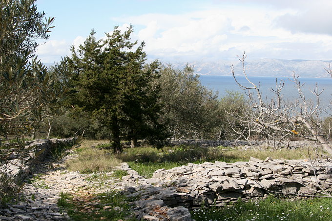 Frühling in Vela Luka 7