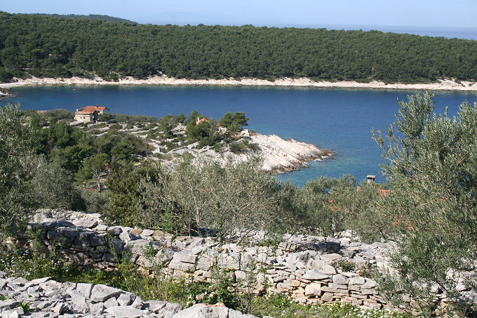 Frühling in Vela Luka 2