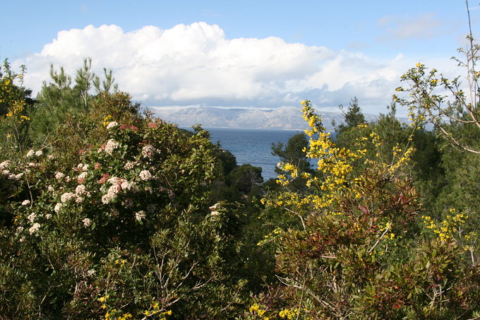 Frühling in Vela Luka 5