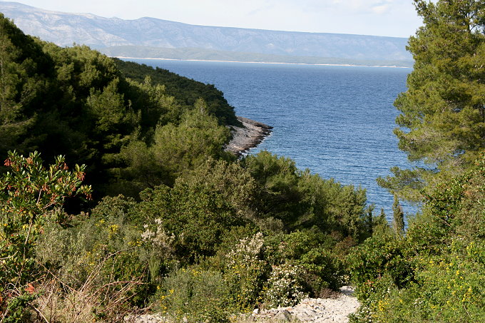 Frühling in Vela Luka 6