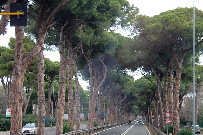 8bis > Strada zwischen Lido di Ostia und Ostia