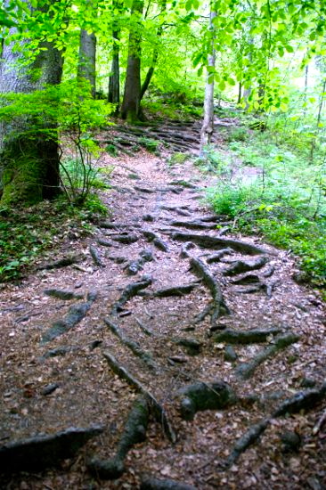 AMMERTAL zwi. Bad Bayersoien u. Saulgrub > Wanderung 5