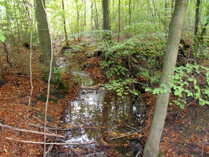 Feldafing>Bachlauf im Lennépark