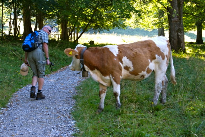 OBERAMMERGAU > Bergwanderung auf den Laber 2