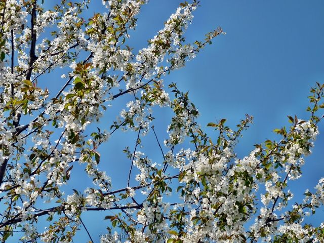 Frühlingsradltour zur Isar