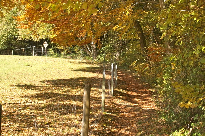 PEIßENBERG > Wanderung auf den Hohen Peißenberg 6