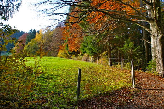 PEIßENBERG > Wanderung auf den Hohen Peißenberg 3