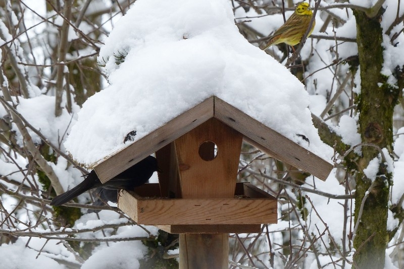 Wann kommt der Frühling