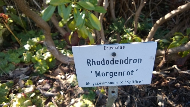 Bot. Garten München