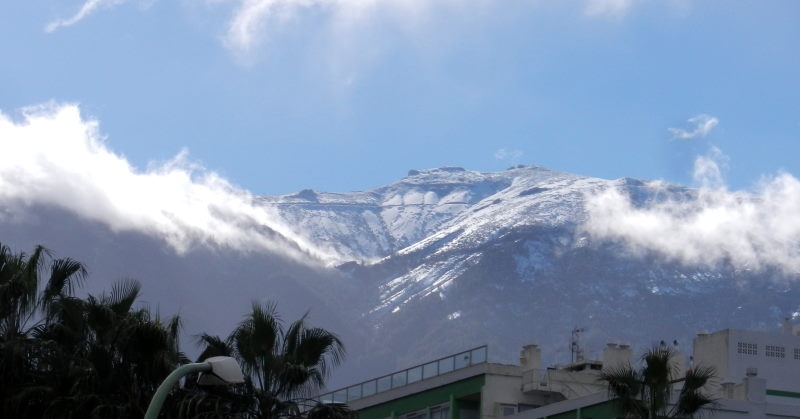 Teide 017 800