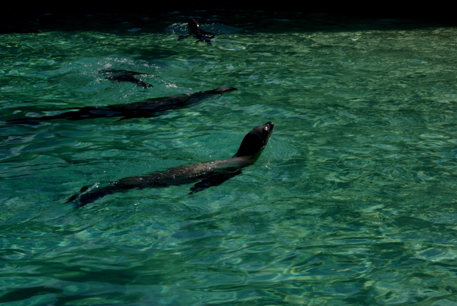 SIAM PARK