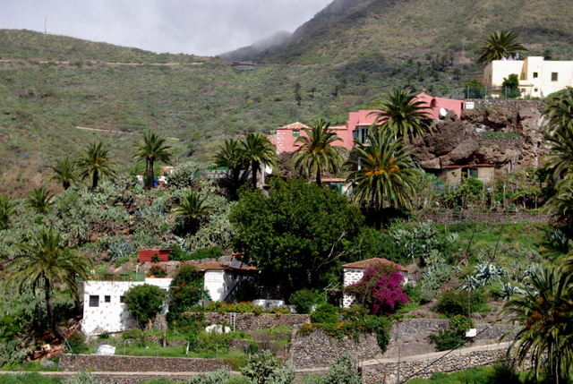 MASCA