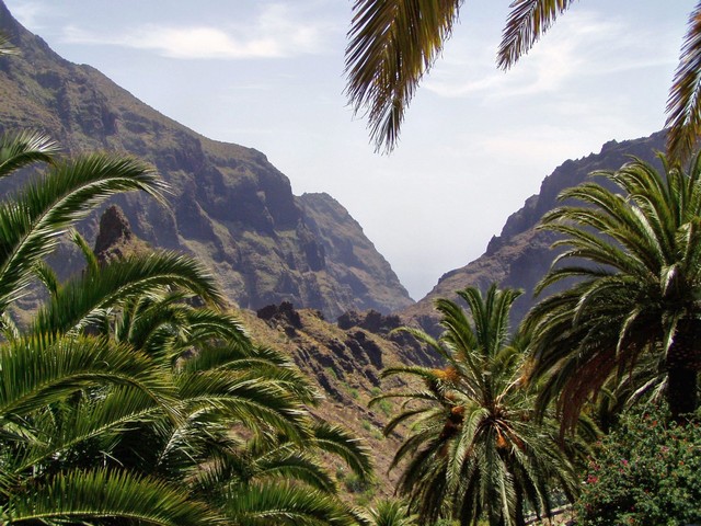 MASCA-TAL