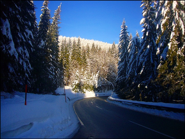 Wintermärchen im Bayerischen Wald