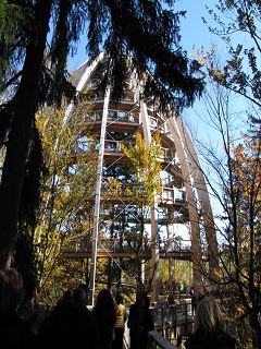 NEUSCHÖNAU > Baumwipfelpfad > Aussichtsturm