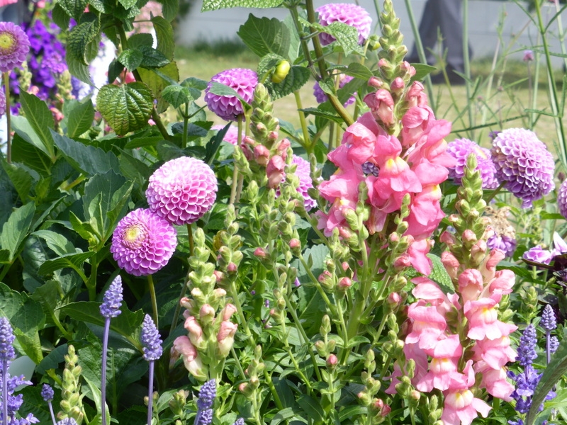 Landesgartenschau in Deggendorf